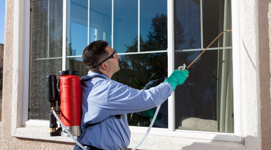Professional residential pest control services in Kissimmee